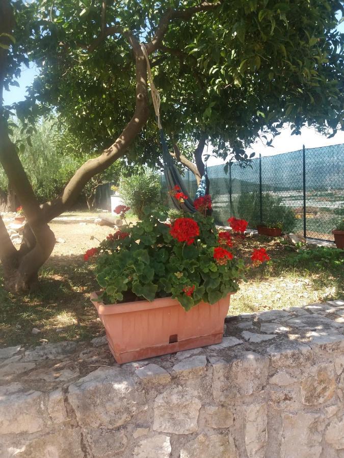Appartamento In Collina Fondi Exterior foto